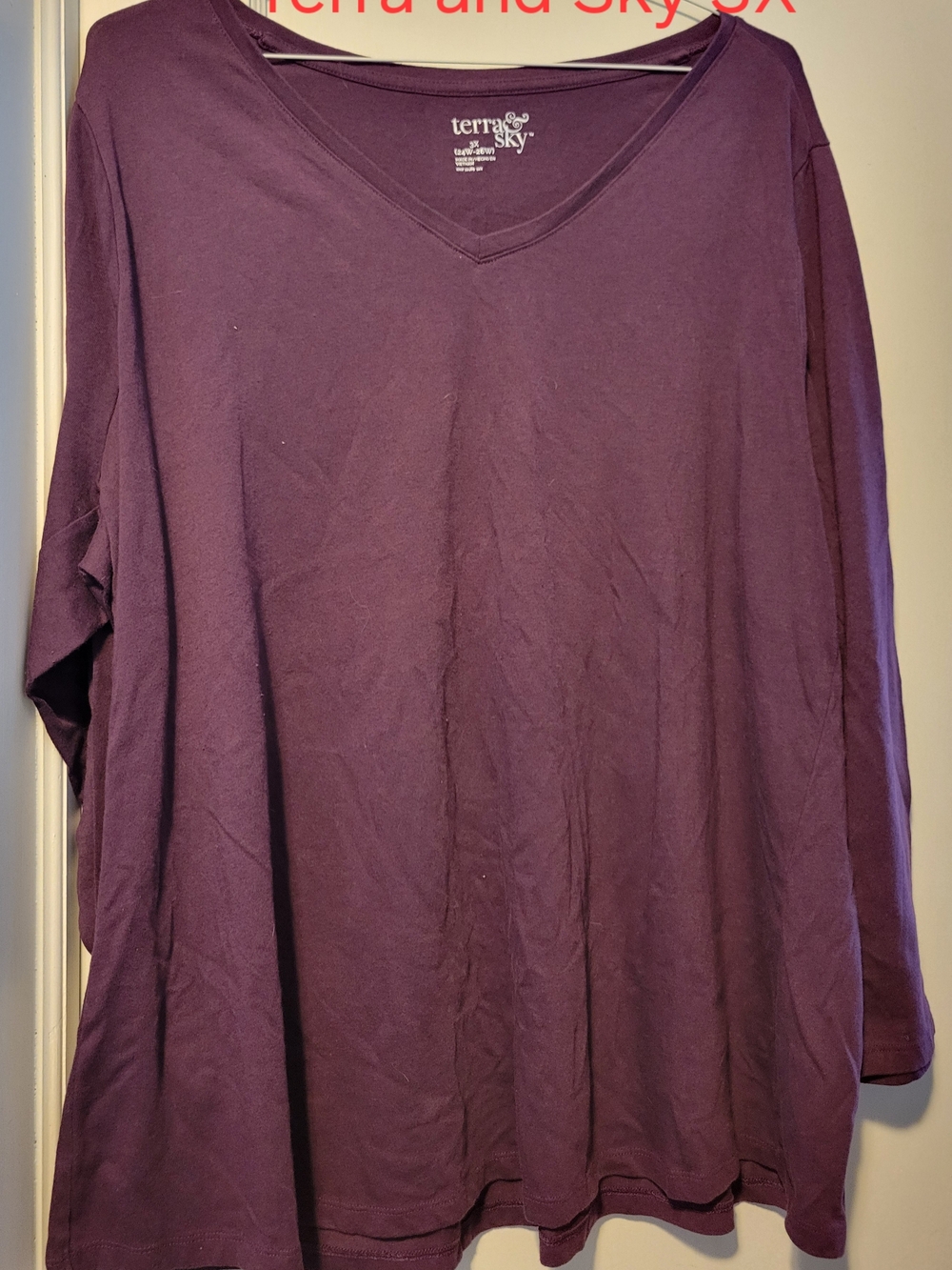 Terra & Sky Plum V-Neck Long Sleeve Tee
